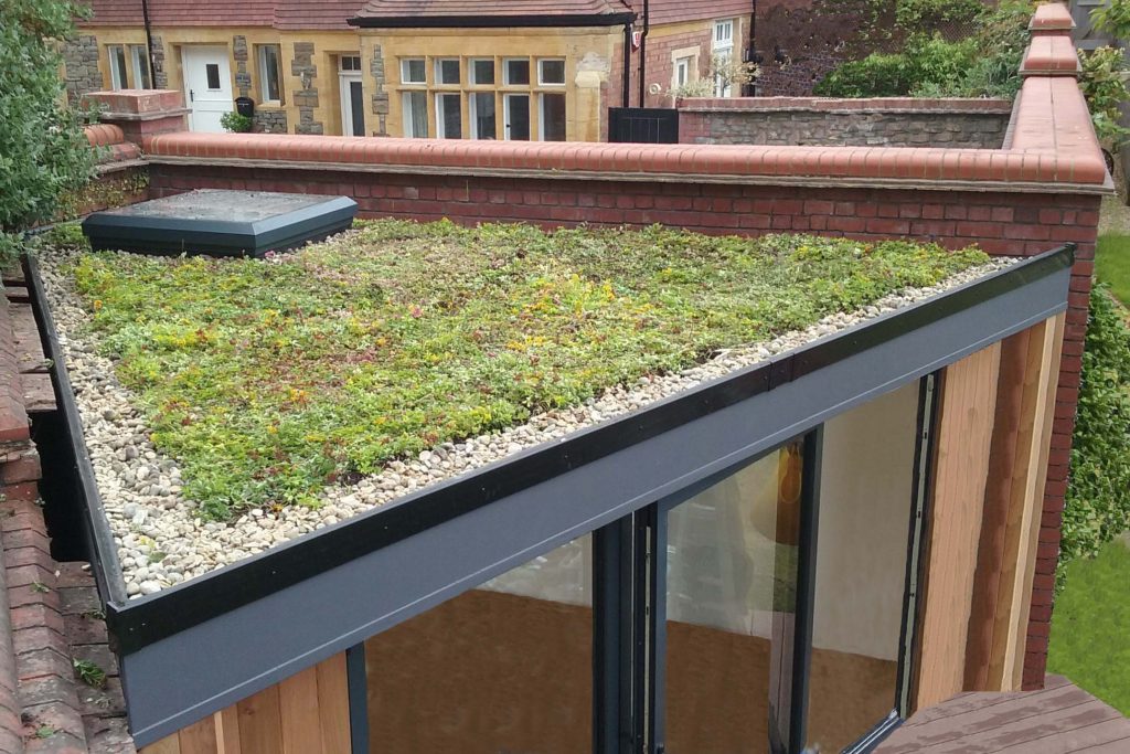 irregular triangular shape garden room, Sedum roof, garden studio