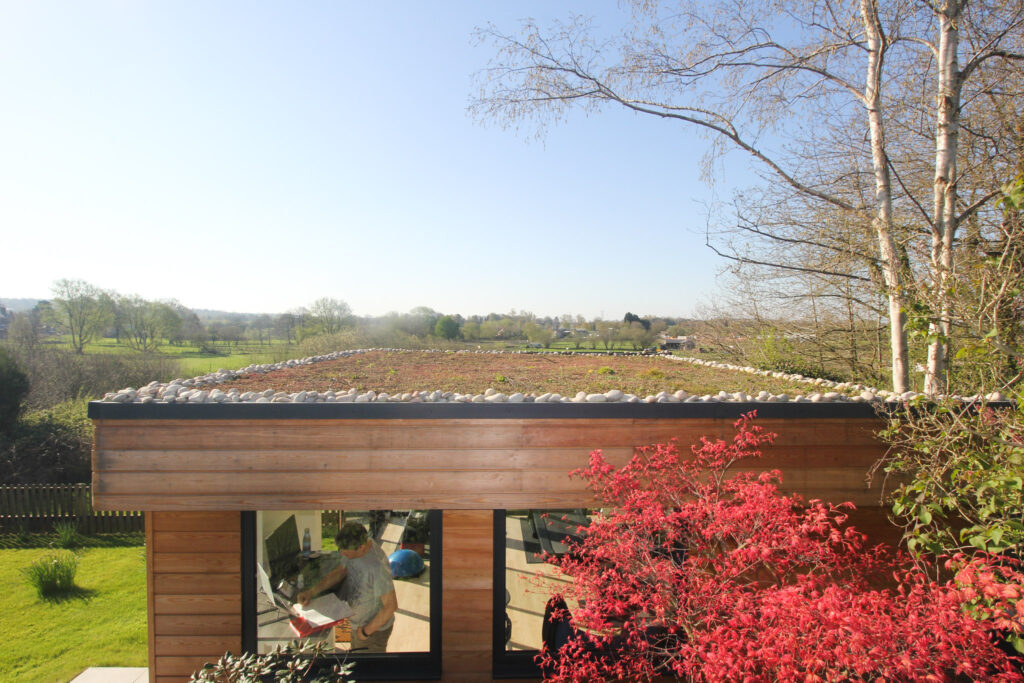 multi-purpose garden room in garden with living roof